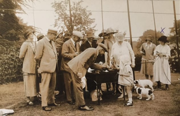 Lymington Dog Show